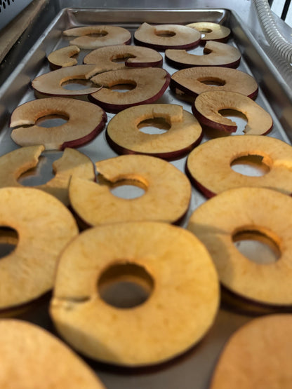 Freeze Dried Crunchy Apple Chips