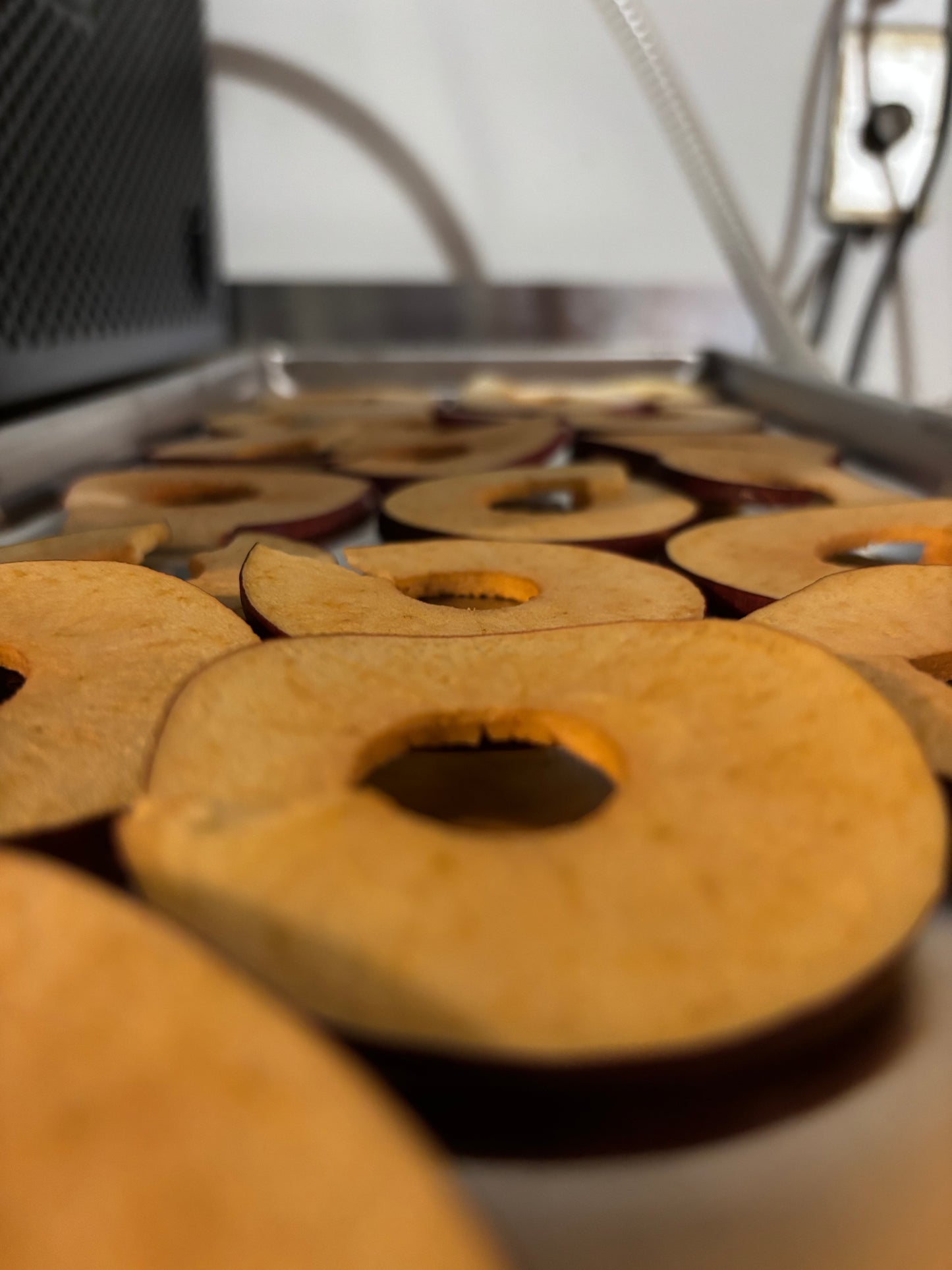 Freeze Dried Crunchy Apple Chips